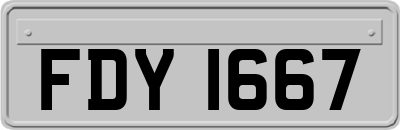 FDY1667