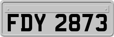 FDY2873