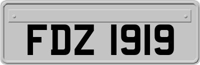 FDZ1919