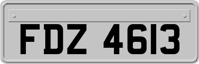 FDZ4613