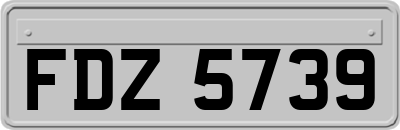 FDZ5739