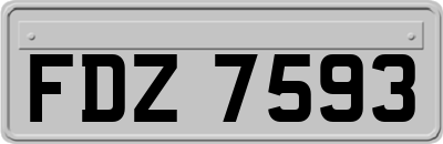 FDZ7593
