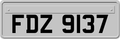 FDZ9137