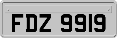 FDZ9919