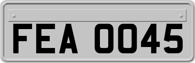 FEA0045