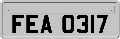 FEA0317