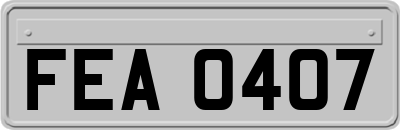 FEA0407