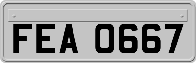 FEA0667