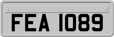 FEA1089