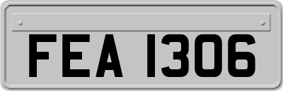 FEA1306
