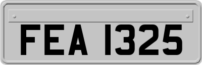 FEA1325