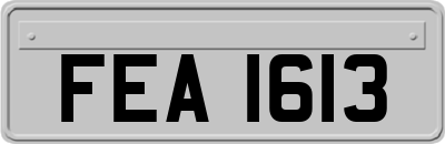 FEA1613