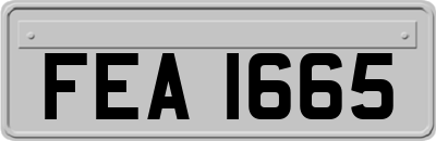 FEA1665