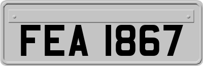 FEA1867