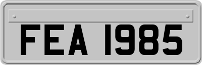 FEA1985