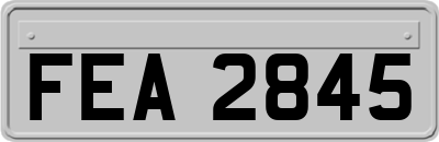 FEA2845