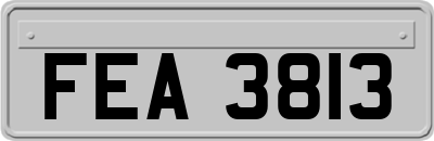 FEA3813