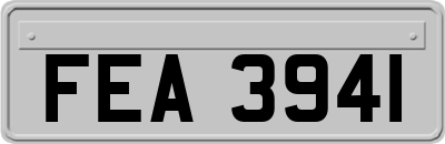 FEA3941