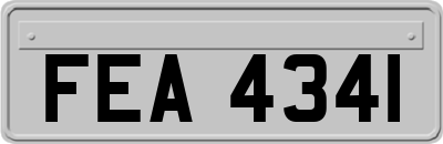 FEA4341