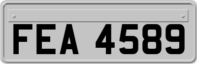 FEA4589