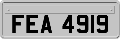 FEA4919
