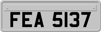 FEA5137
