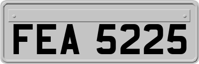 FEA5225
