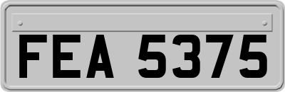 FEA5375