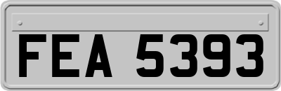 FEA5393