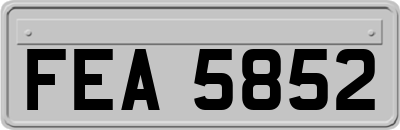 FEA5852