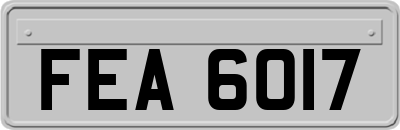 FEA6017
