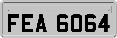 FEA6064