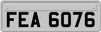 FEA6076