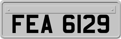 FEA6129