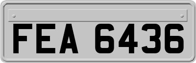 FEA6436