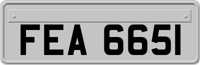 FEA6651