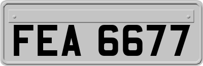 FEA6677