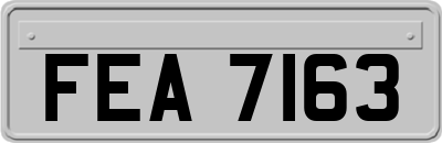 FEA7163