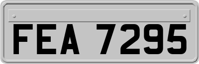 FEA7295