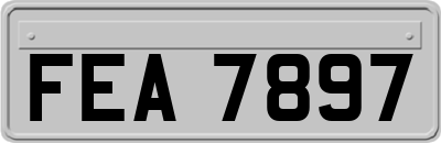 FEA7897