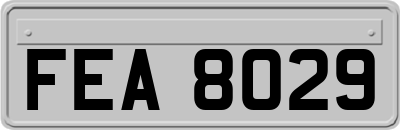 FEA8029