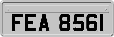 FEA8561
