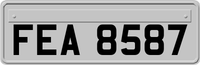 FEA8587