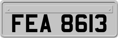 FEA8613