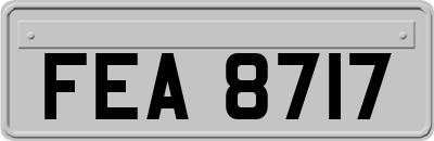 FEA8717