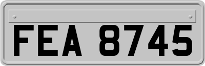 FEA8745
