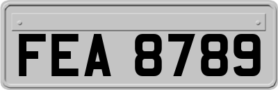 FEA8789