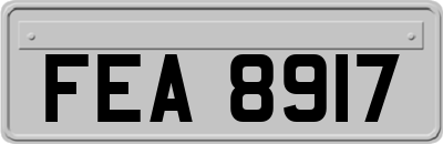 FEA8917