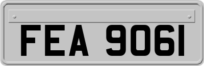 FEA9061