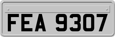 FEA9307